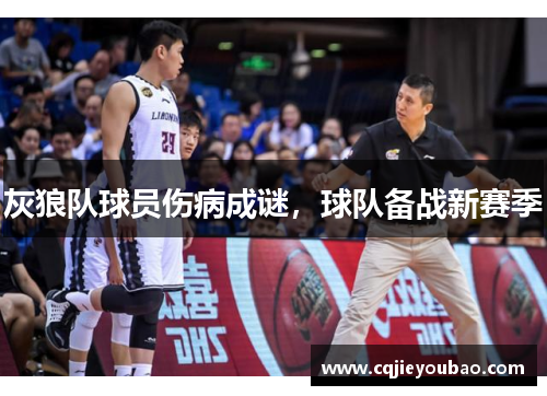 灰狼队球员伤病成谜，球队备战新赛季