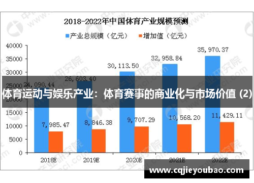 体育运动与娱乐产业：体育赛事的商业化与市场价值 (2)