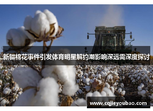 新疆棉花事件引发体育明星解约潮影响深远需深度探讨
